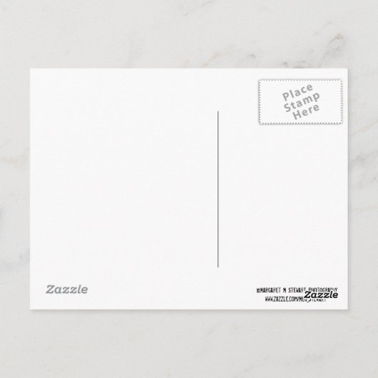 Briefkaart van gehakte Bossen (Achterkant)