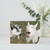 Briefkaart van geiten (Staand voorkant)