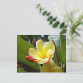 briefkaart van gele bloem (Staand voorkant)