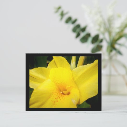 Briefkaart van gele kattenbloem (Staand voorkant)