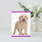 Briefkaart van gele labrador Retriever Puppy Dog (Staand voorkant)