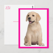 Briefkaart van gele labrador Retriever Puppy Dog (Voorkant / Achterkant)