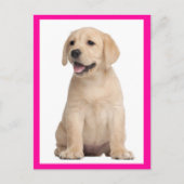 Briefkaart van gele labrador Retriever Puppy Dog (Voorkant)