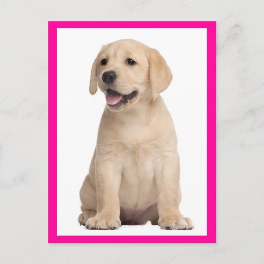 Briefkaart van gele labrador Retriever Puppy Dog (Voorkant)