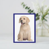 Briefkaart van gele labrador Retriever Puppy Dog (Staand voorkant)