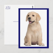 Briefkaart van gele labrador Retriever Puppy Dog (Voorkant / Achterkant)