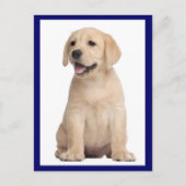 Briefkaart van gele labrador Retriever Puppy Dog (Voorkant)