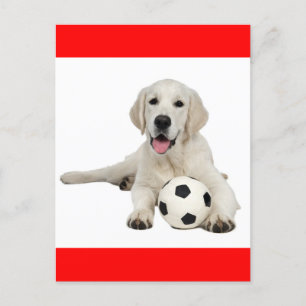 Briefkaart van gele labrador Retriever Puppy Dog