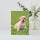 Briefkaart van gele labrador Retriever Puppy Dog (Staand voorkant)