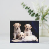 Briefkaart van gele labrador Retriever Puppy Dog (Staand voorkant)