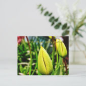 Briefkaart van gele tulpen (Staand voorkant)