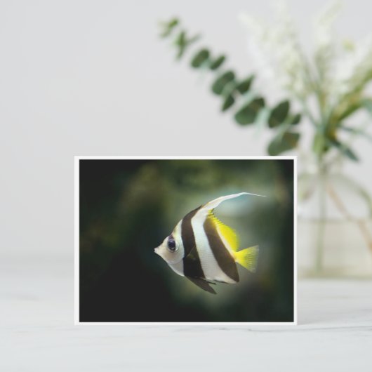 Briefkaart van gele zwarte en witte engelen (Staand voorkant)