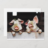 Briefkaart van gelukkige varkens (Voorkant / Achterkant)