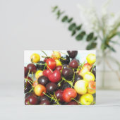 Briefkaart van gemengde kersen (Staand voorkant)