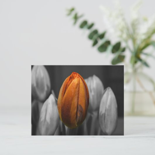 Briefkaart van gemengde tulpen (Staand voorkant)