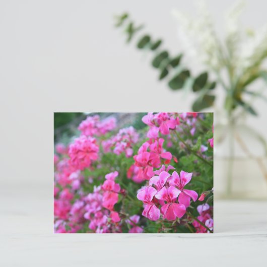 Briefkaart van Geraniums (Staand voorkant)