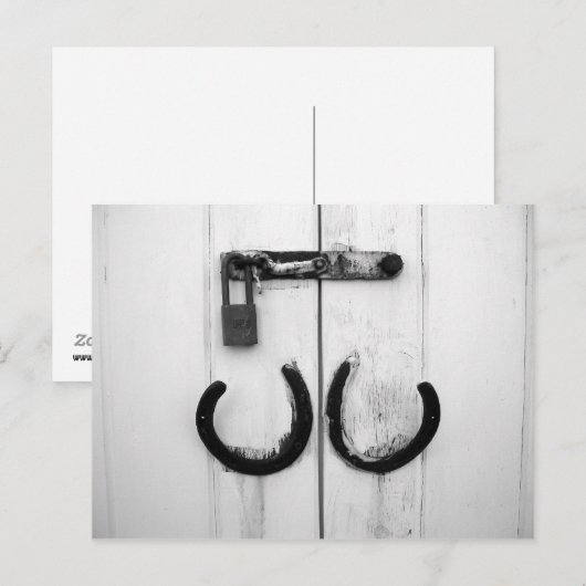 Briefkaart van geroosterde Hoefijzers (Voorkant / Achterkant)