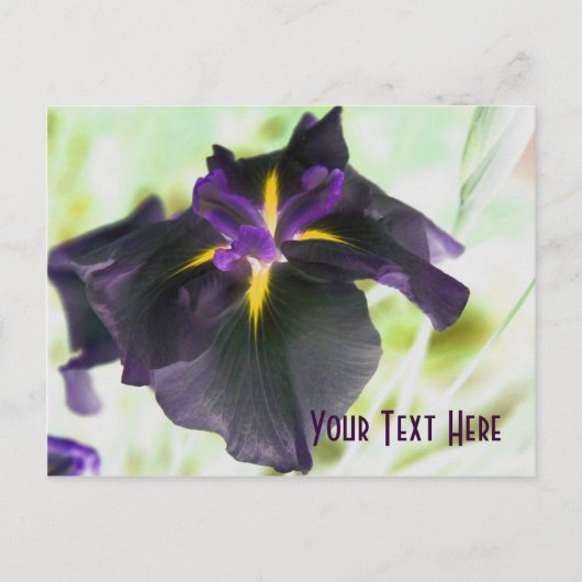  Briefkaart van Ggloeiende Iris Floral (Voorkant)