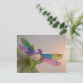 Briefkaart van glas Dragonfly (Staand voorkant)
