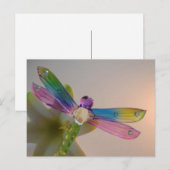 Briefkaart van glas Dragonfly (Voorkant / Achterkant)