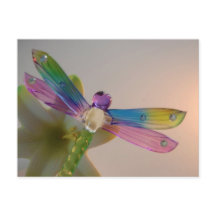 Briefkaart van glas Dragonfly