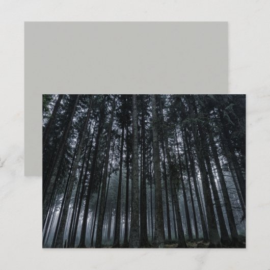 briefkaart van gothische bossen (Voorkant / Achterkant)