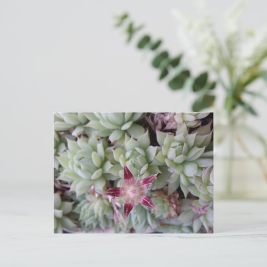 Briefkaart van grafietappel (Staand voorkant)