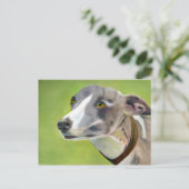 Briefkaart van Greyhound (a404) (Staand voorkant)