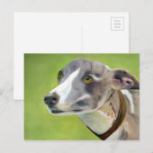 Briefkaart van Greyhound (a404) (Voorkant / Achterkant)