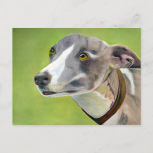 Briefkaart van Greyhound (a404)