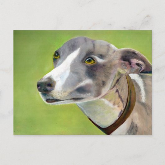 Briefkaart van Greyhound (a404) (Voorkant)