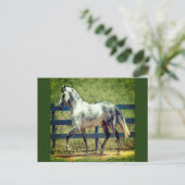 Briefkaart van grijze paarden (Staand voorkant)