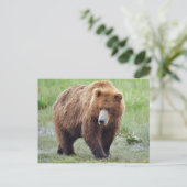 Briefkaart van grizzly beer (Staand voorkant)