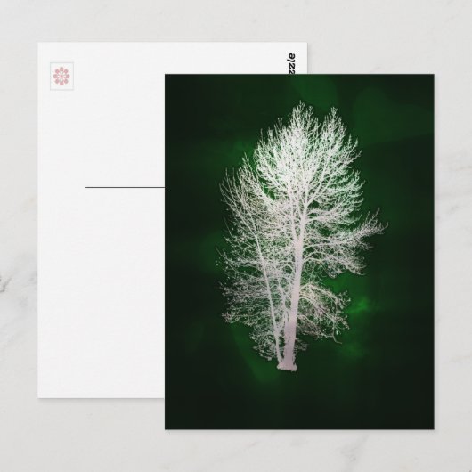 Briefkaart van groene faux-metallische bomen (Voorkant / Achterkant)