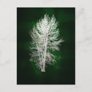 Briefkaart van groene faux-metallische bomen