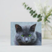 Briefkaart van groene geoogste katten (Staand voorkant)