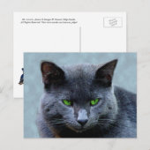 Briefkaart van groene geoogste katten (Voorkant / Achterkant)