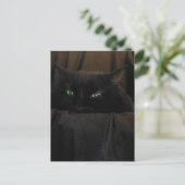 Briefkaart van groene katteogen (Staand voorkant)