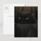 Briefkaart van groene katteogen (Voorkant / Achterkant)