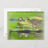 Briefkaart van groene kikker (Voorkant / Achterkant)