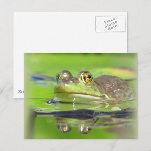 Briefkaart van groene kikker (Voorkant / Achterkant)