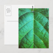 Briefkaart van groene ledertextuur (Voorkant / Achterkant)