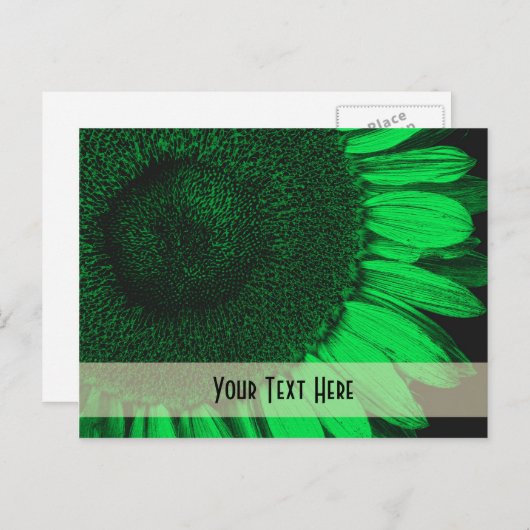 Briefkaart van groene macrozonnebloemen (Voorkant / Achterkant)