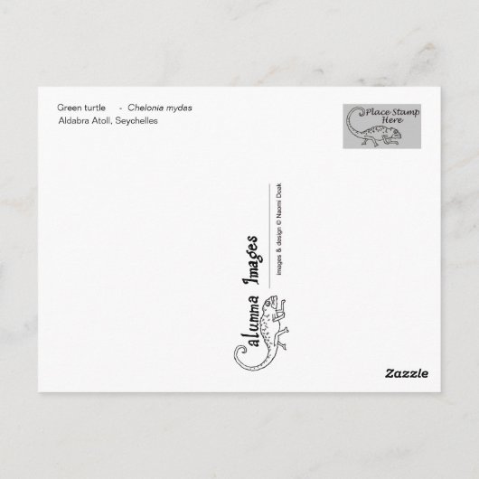 Briefkaart van groene schildpad - 02 (Achterkant)