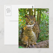 Briefkaart van grote paarden (Voorkant / Achterkant)