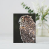 Briefkaart van grote paarden (Bubo virginianus) (Staand voorkant)