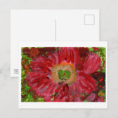 Briefkaart van grote rode bloem (Voorkant / Achterkant)