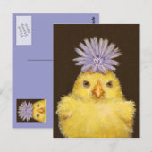 briefkaart van grumpy kip (peep) (Voorkant / Achterkant)