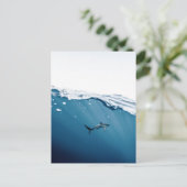 Briefkaart van haaien (Staand voorkant)