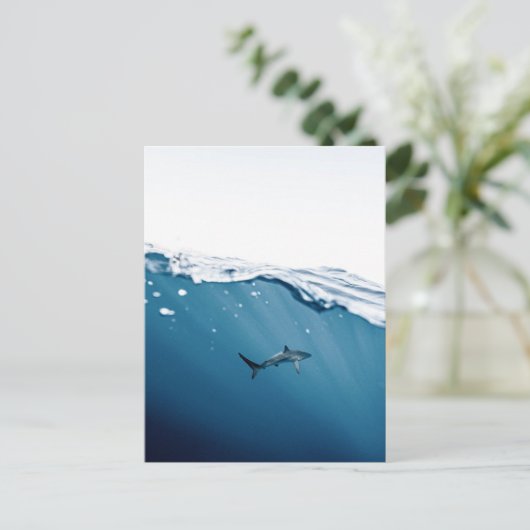 Briefkaart van haaien (Staand voorkant)